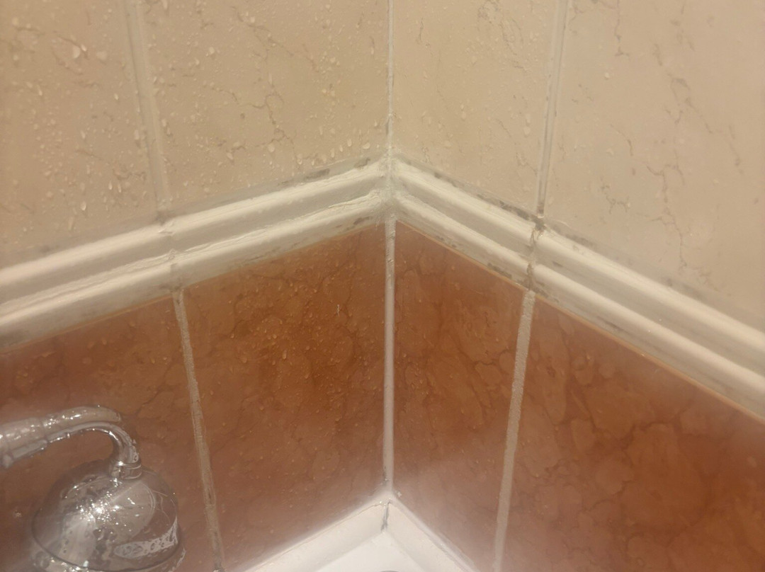 奥尔顿厅 Spa 酒店