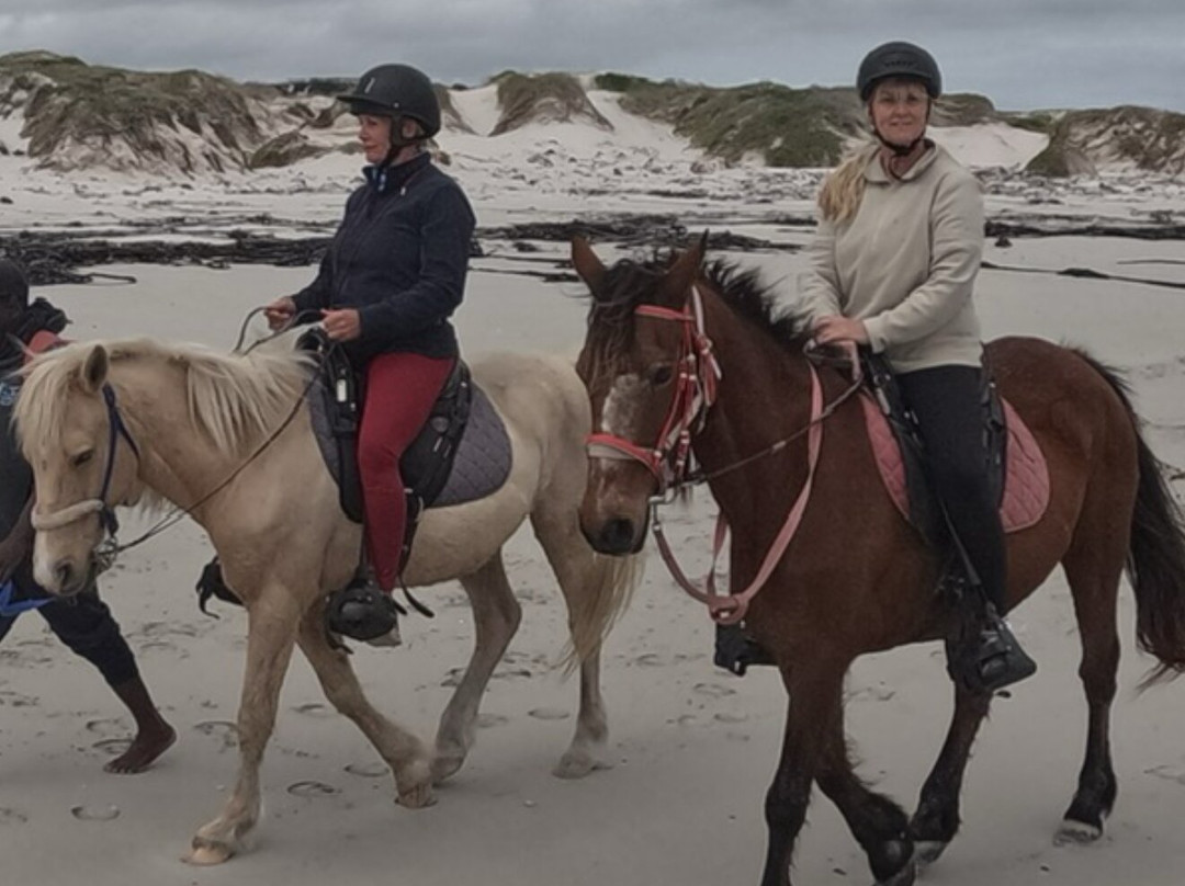 Gansbaai & Pearly Beach Horse Trails-干斯拜必去景点