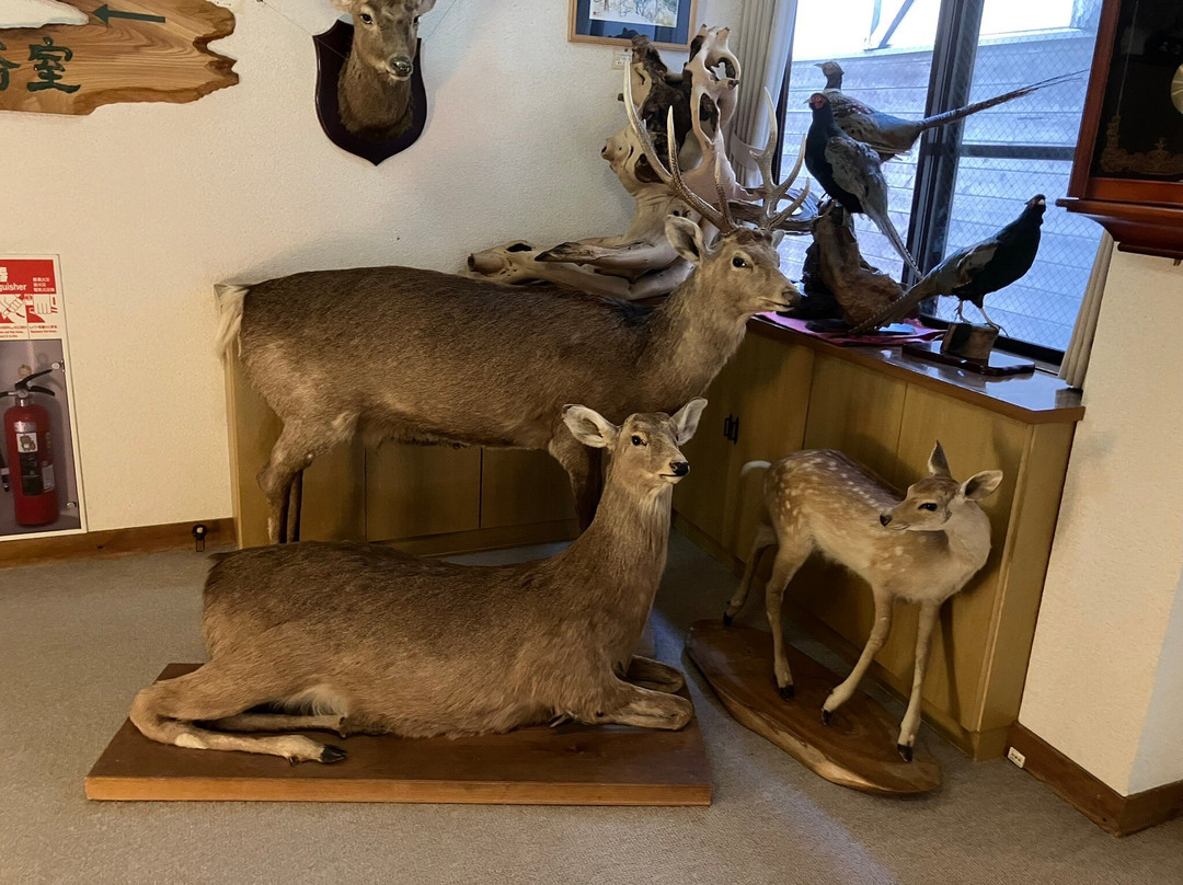 Karasawa Kousen主图