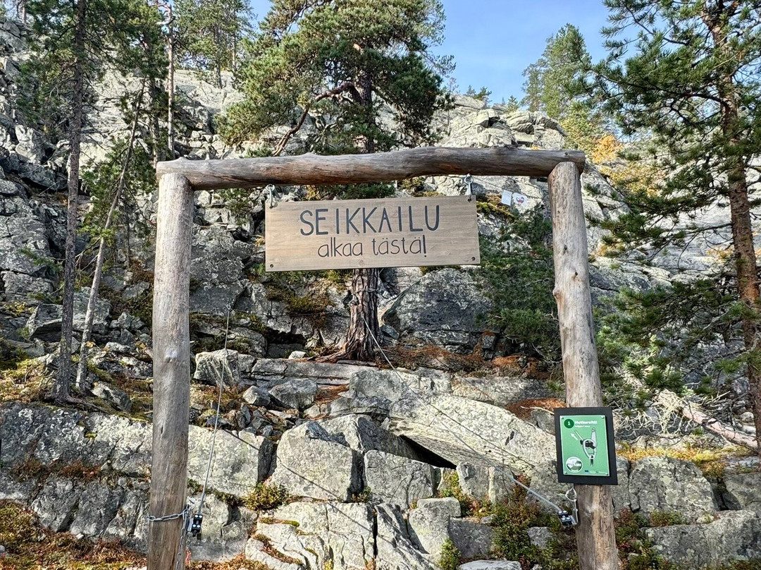 Pyhäkuru Adventure Park-Pyhatunturi必去景点