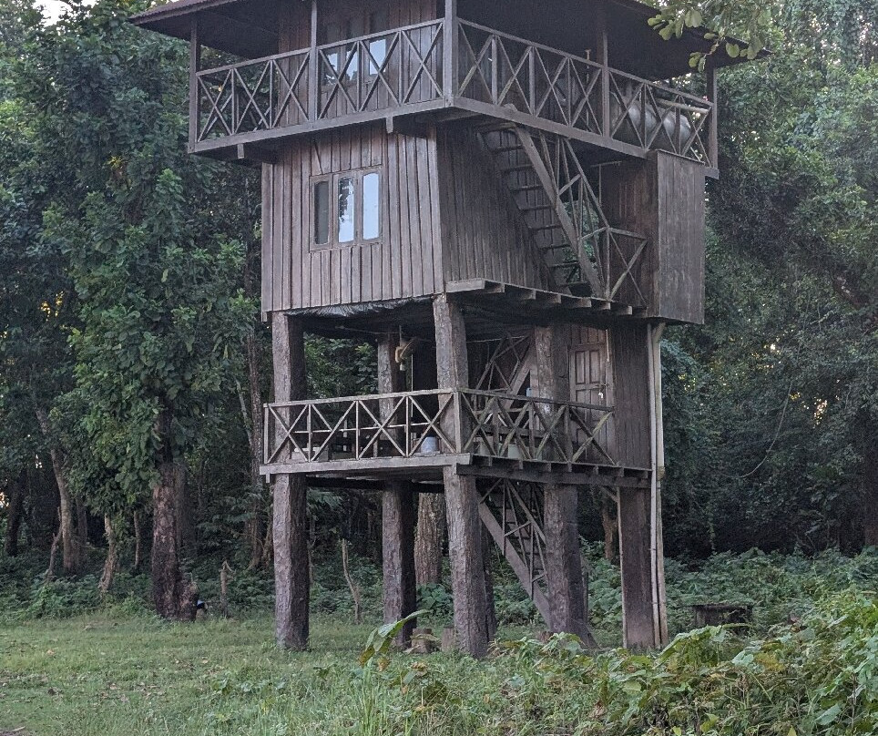 Nepal Dynamic Eco Tours & Services-奇旺国家公国必去景点