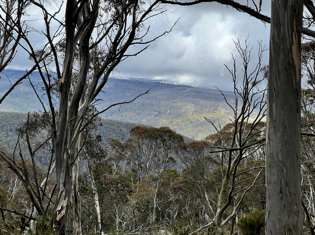 Dinner Plain Alpine Village-Dinner Plain必去景点