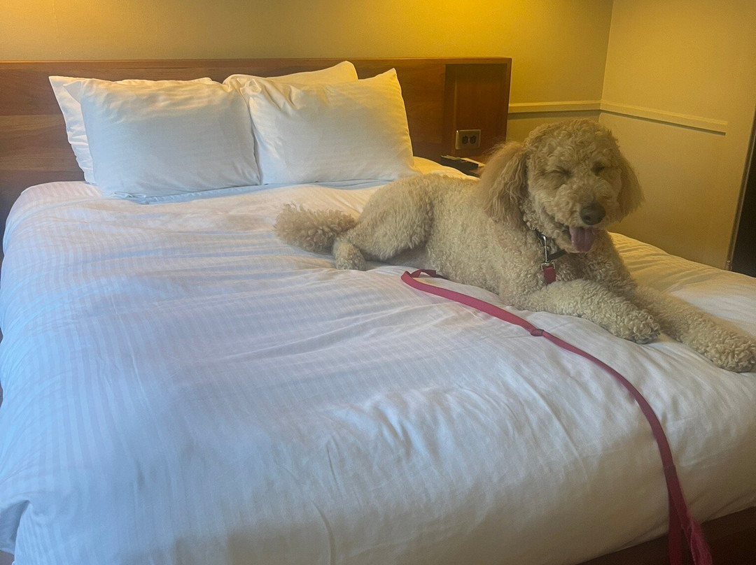 奥克赫斯特酒店主图