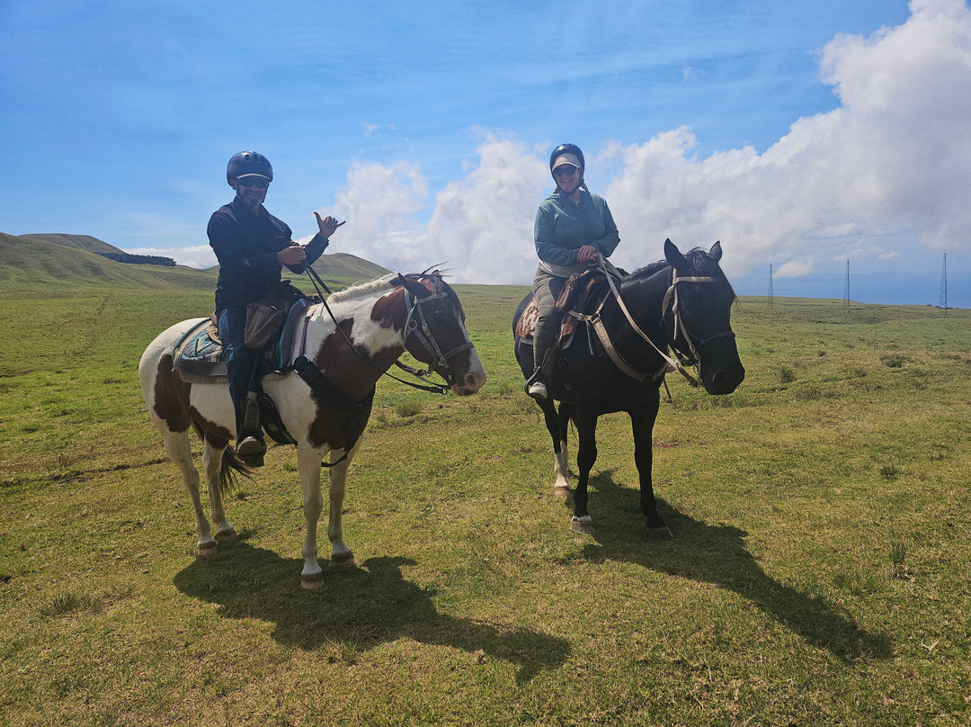 Na'alapa Stables - Kahua Ranch-卡慕也拉必去景点