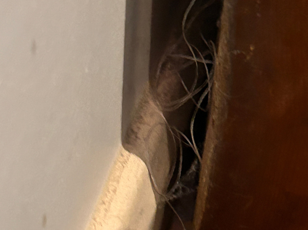 The Busfeild Arms主图