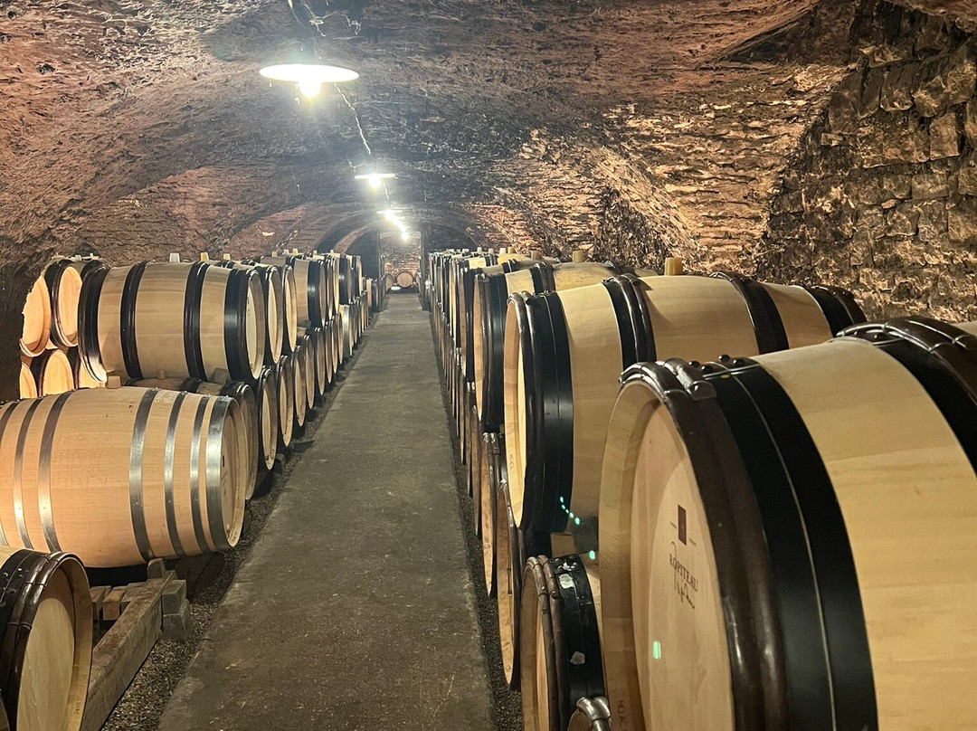 Caves Ropiteau Freres-默尔索必去景点