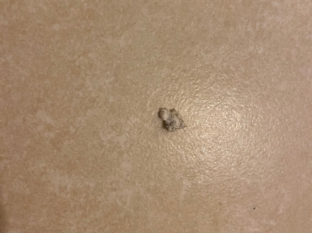 Ariana Apartments主图