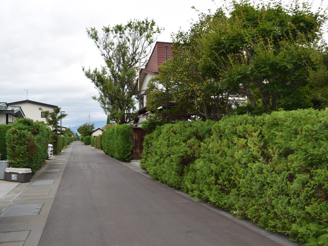 Nakachō Traditional Samurai House Preservation Area-弘前市必去景点