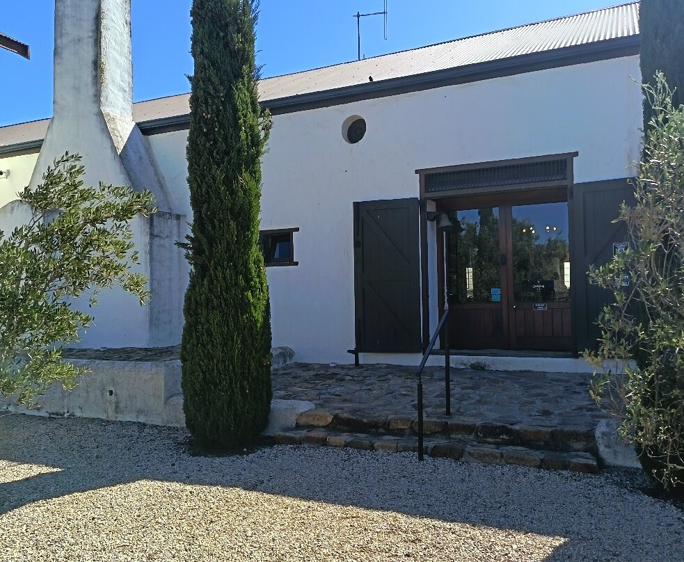 Darling Olives-Darling必去景点