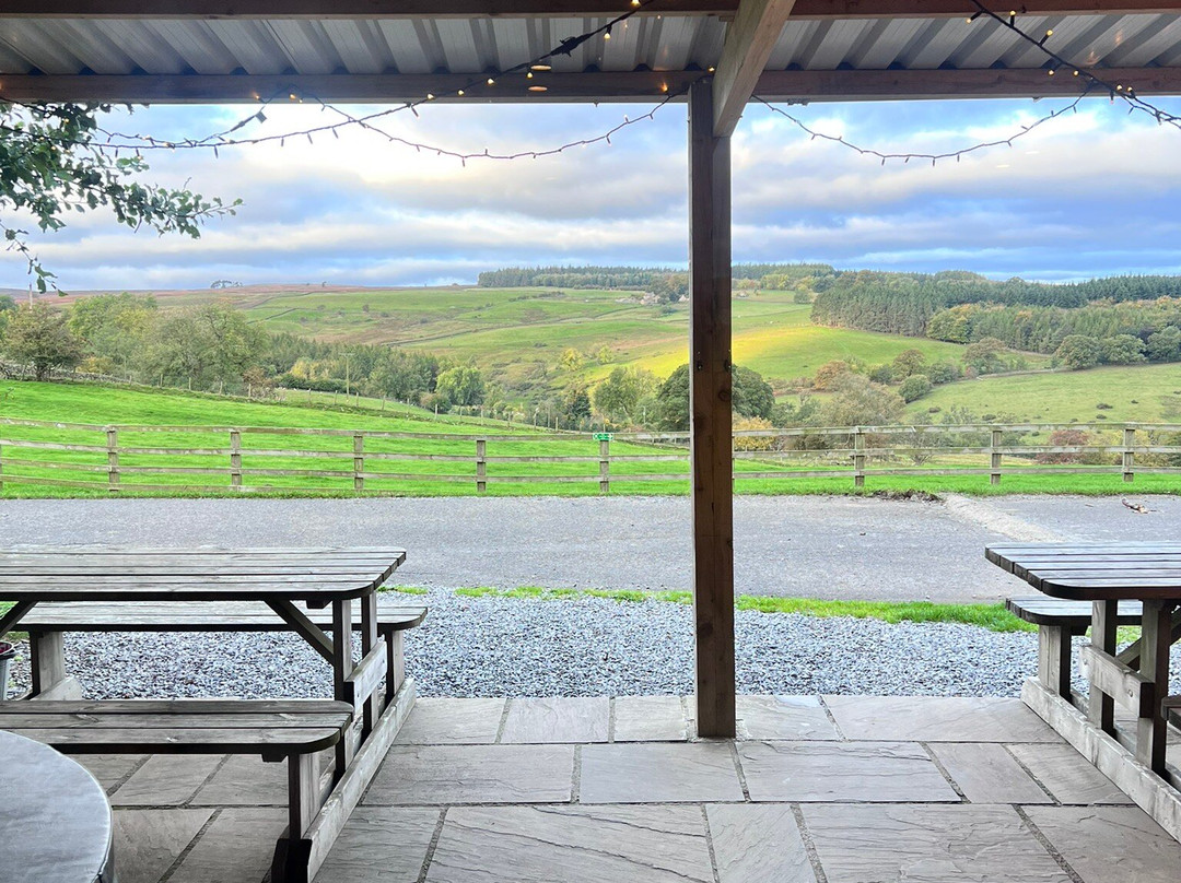 Farm Adventure Yorkshire-马沙姆必去景点