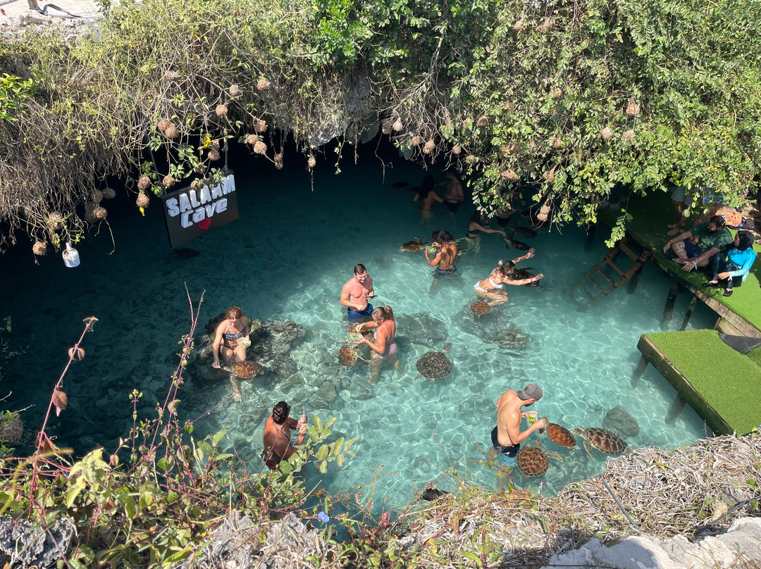 The Mora Zanzibar主图