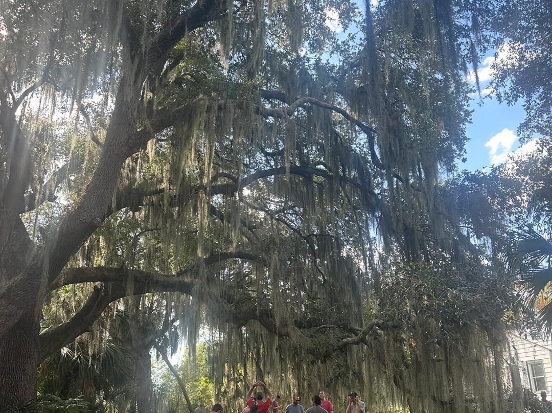 New Orleans Airboat Tours-Marrero必去景点