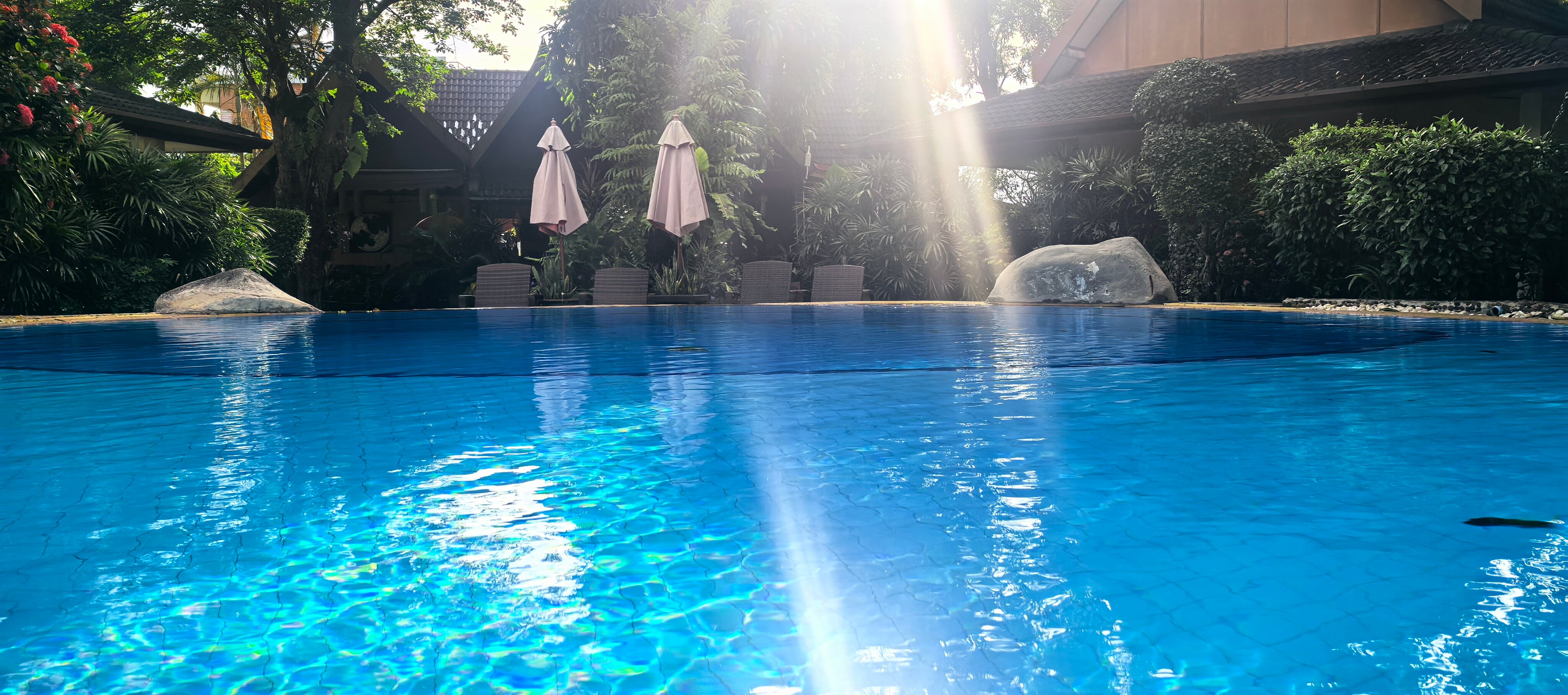 棕榈花园度假村酒店-泳池