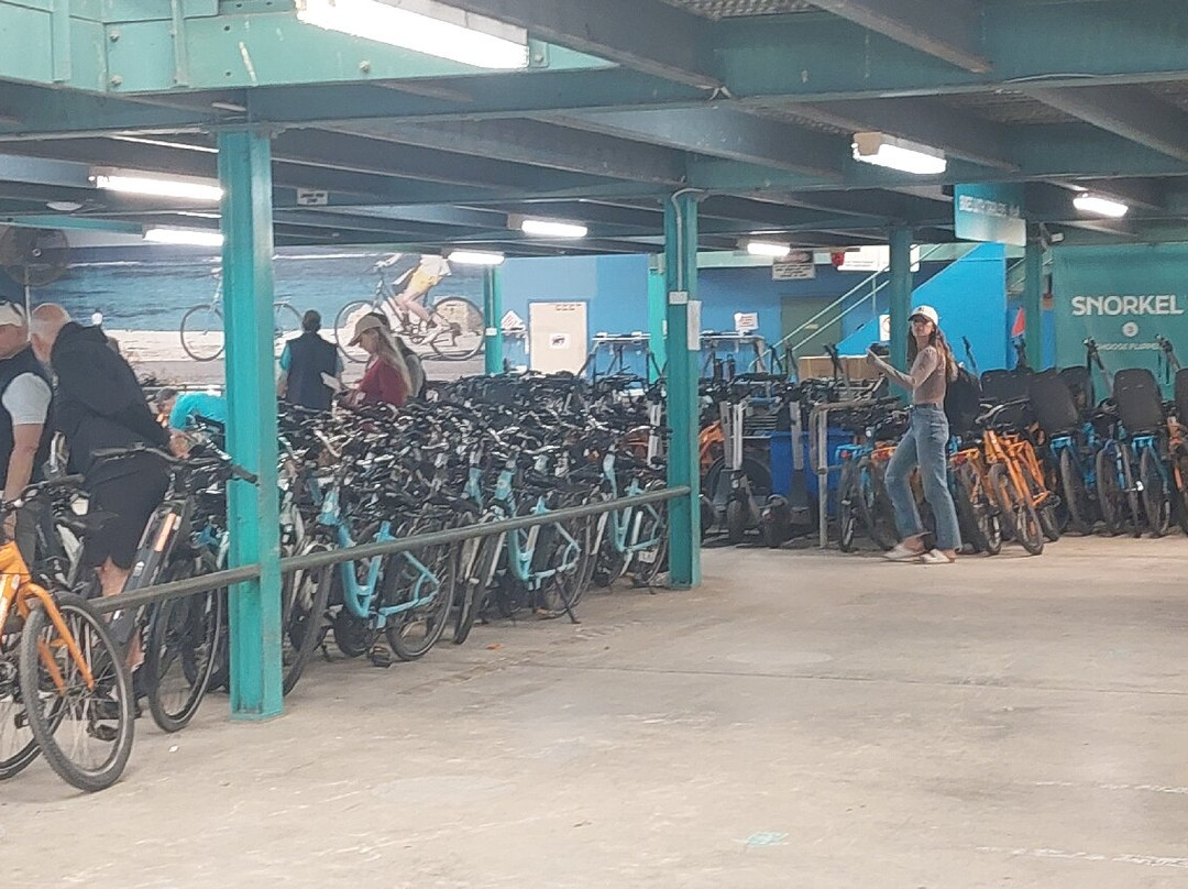 Rottnest Island Pedal and Flipper-罗特尼斯岛必去景点