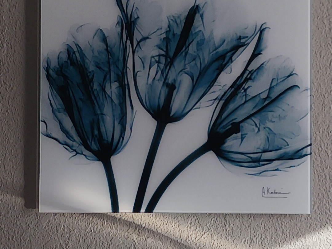 Baymont by Wyndham La Vergne/Nashville I-24 East主图