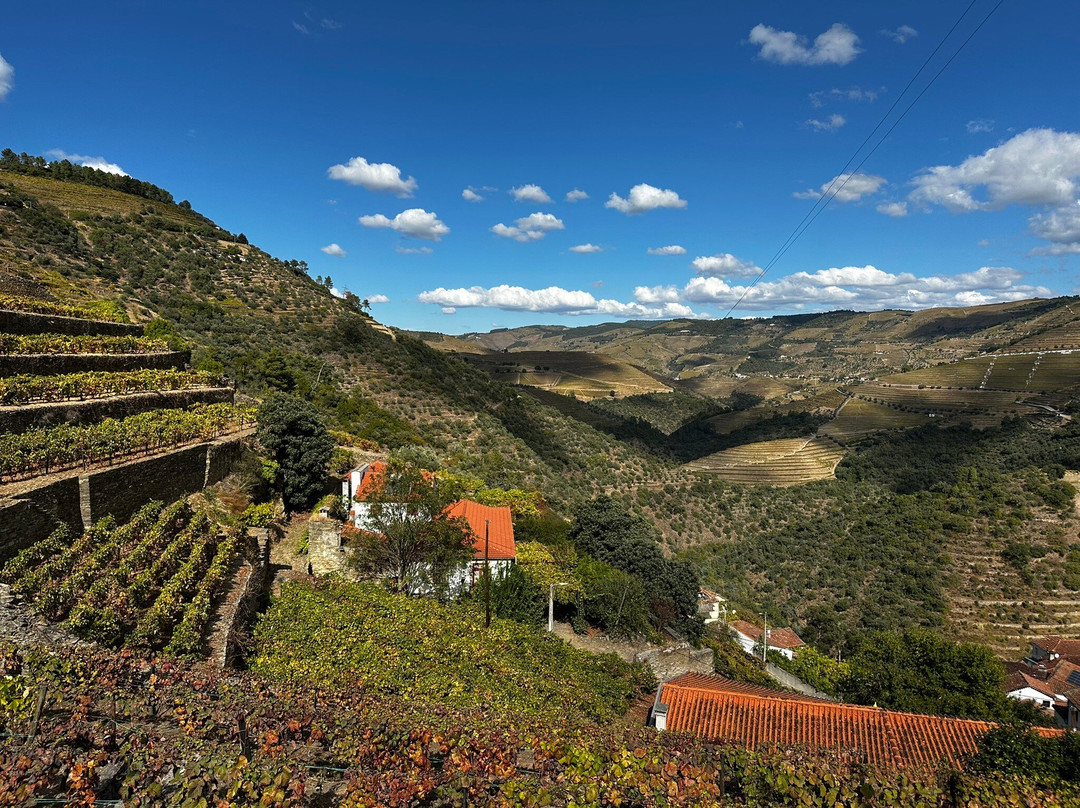 Douro Walks-Ervedosa do Douro必去景点
