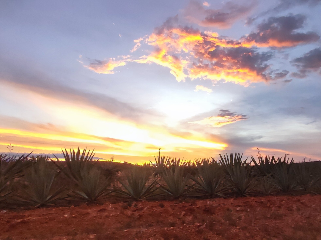 Viajeros del Mezcal Experiences-Miahuatlan必去景点