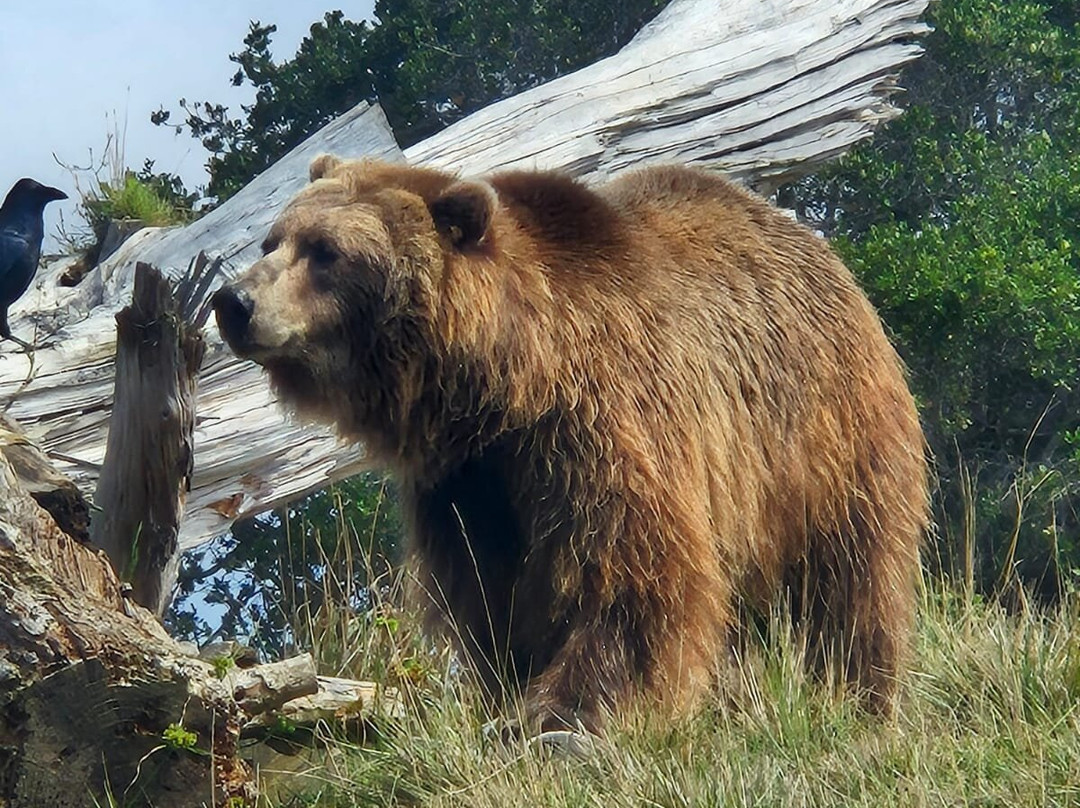 奥克兰动物园-奥克兰必去景点
