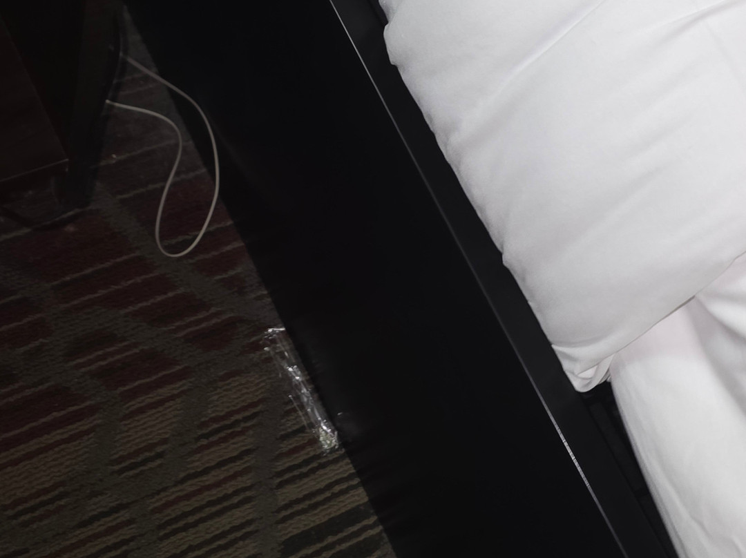 Best Western Saranac Lake主图