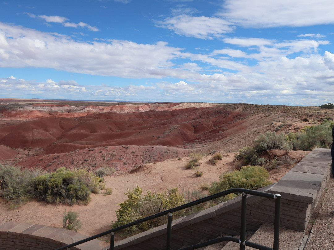 Petrified Forest National Park-霍尔布鲁克必去景点