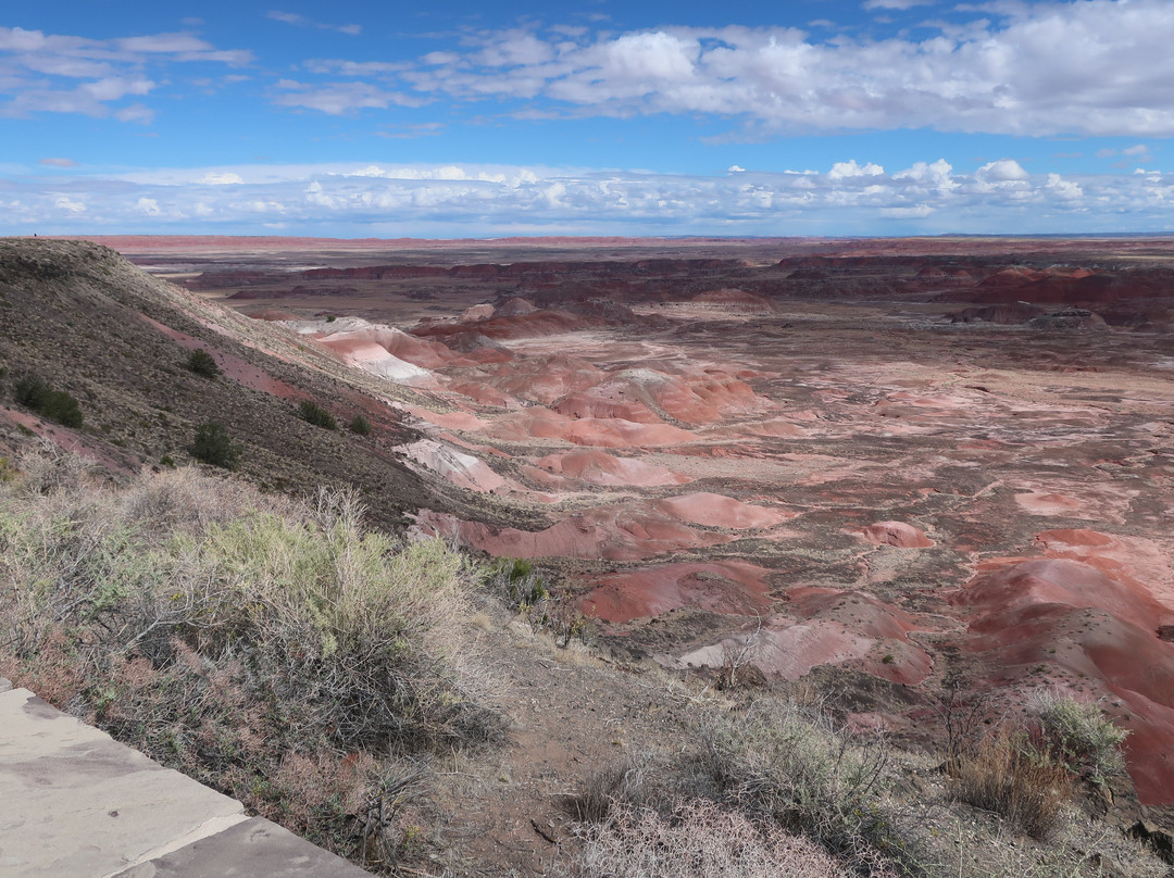 Petrified Forest National Park-霍尔布鲁克必去景点