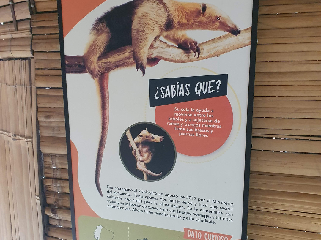 Zoologico de Quito-Guayllabamba必去景点
