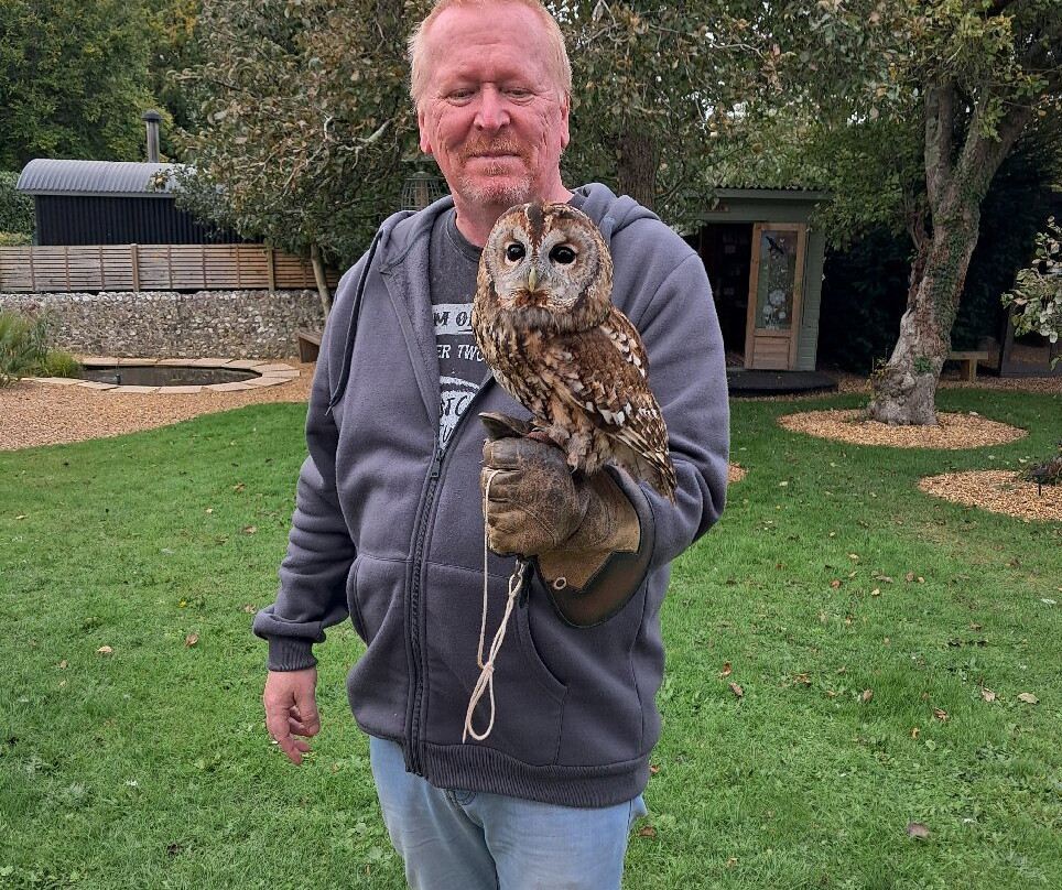 West Sussex Falconry-Compton必去景点