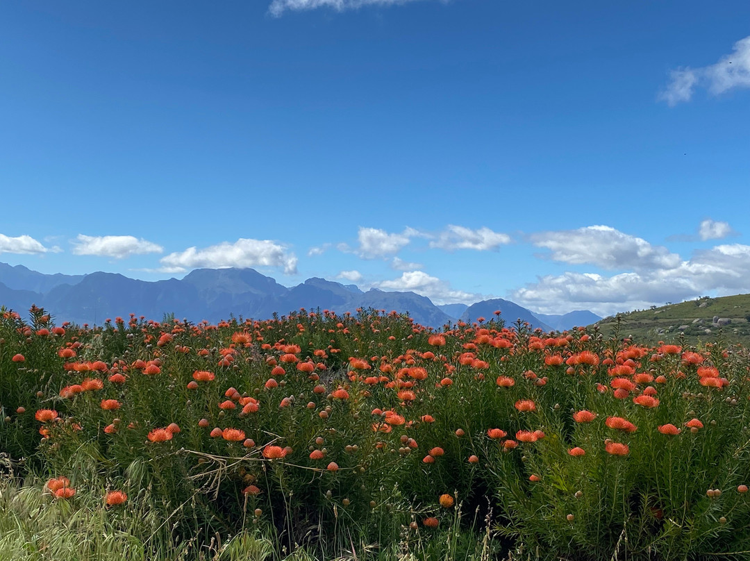 Beyond Bike-Windmeul必去景点