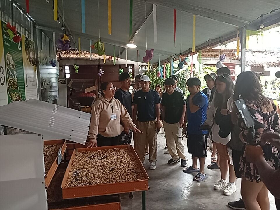 MACHUPICCHU SENSATIONS Travel & Expeditions-库斯科必去景点