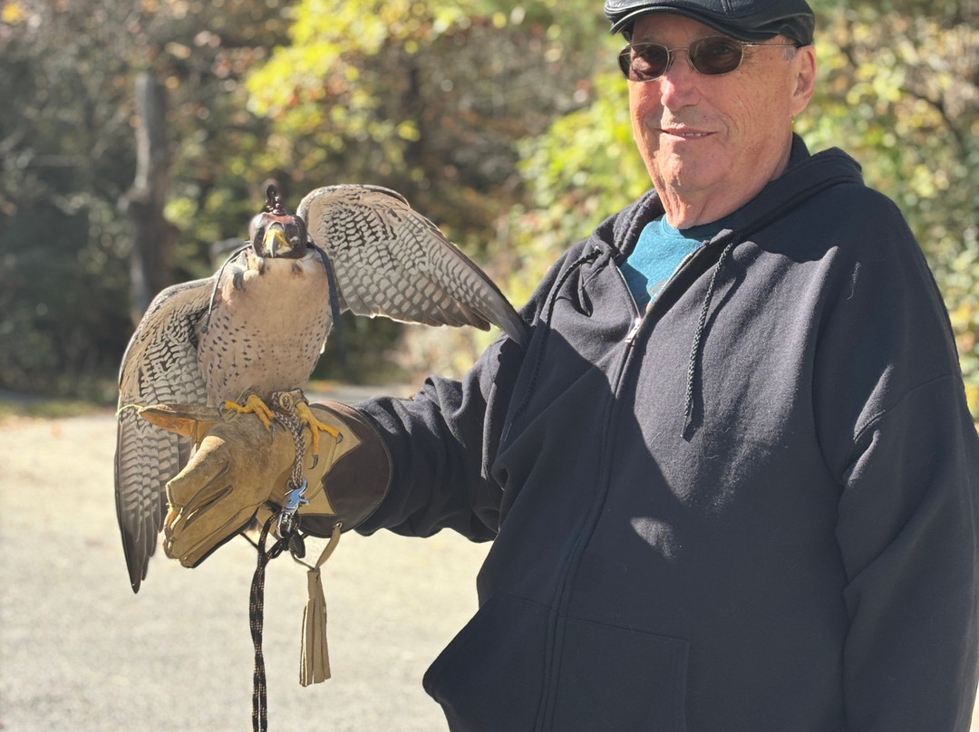 The Greenbrier Falconry-White Sulphur Springs必去景点