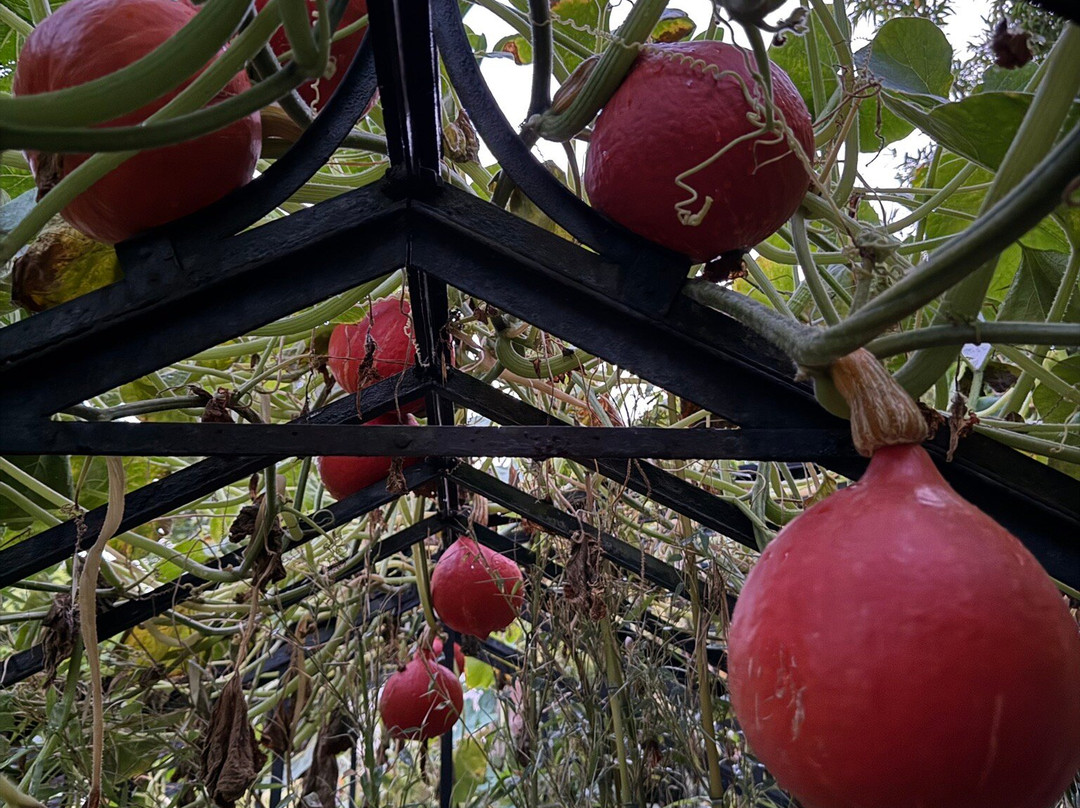 Le Jardin des Erables主图