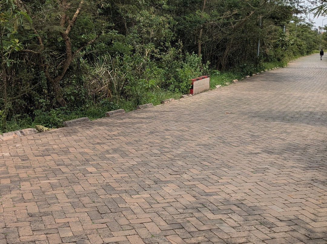 Nyandungu Eco-Park-吉佳利必去景点