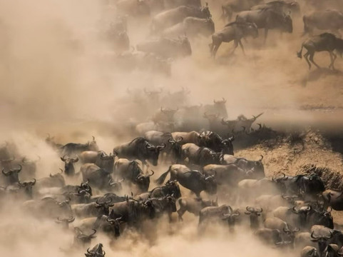 Mwanamshiki Tours and Safaris-阿鲁沙必去景点