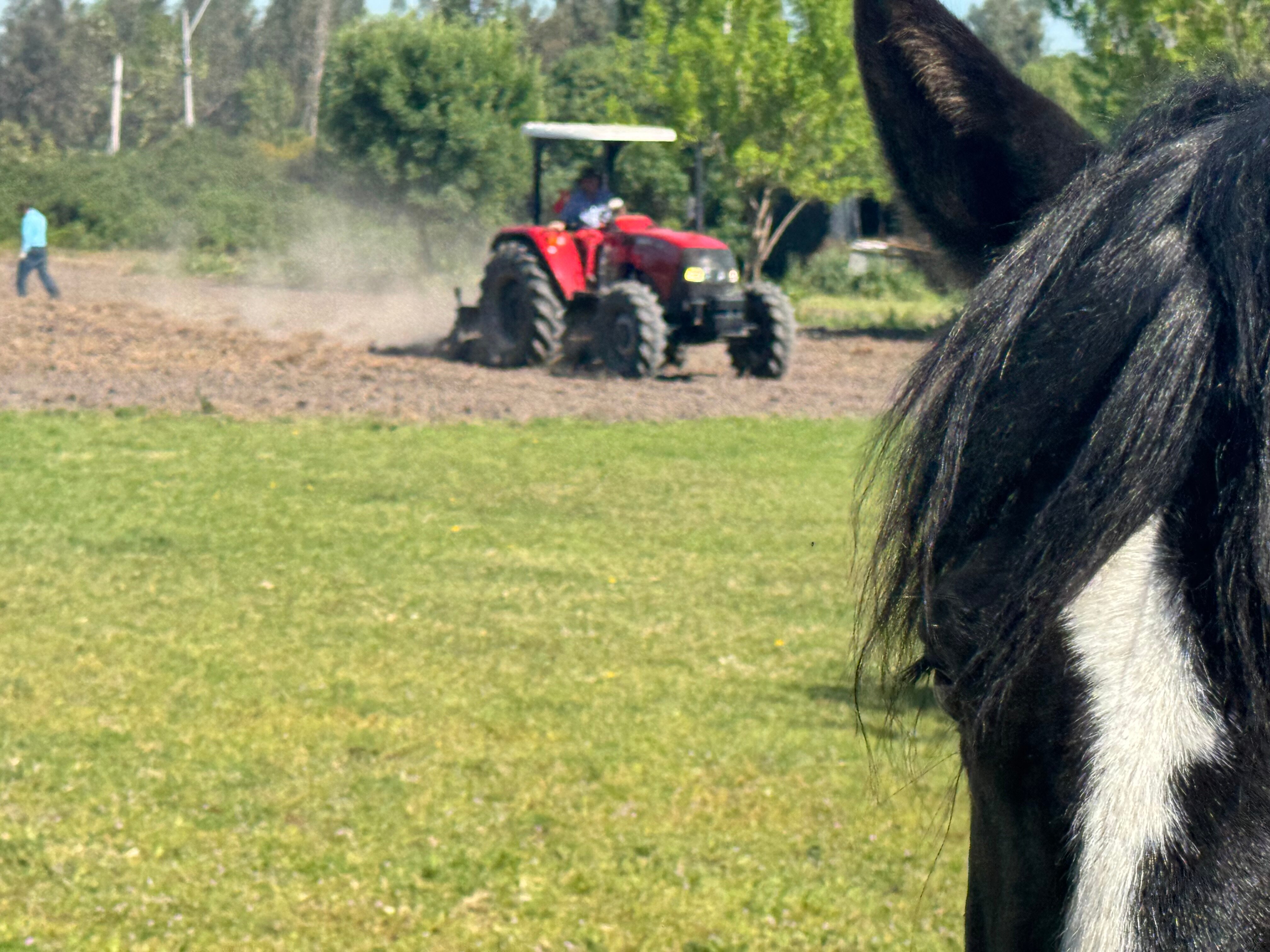 Casona Lo Aguirre-浴室