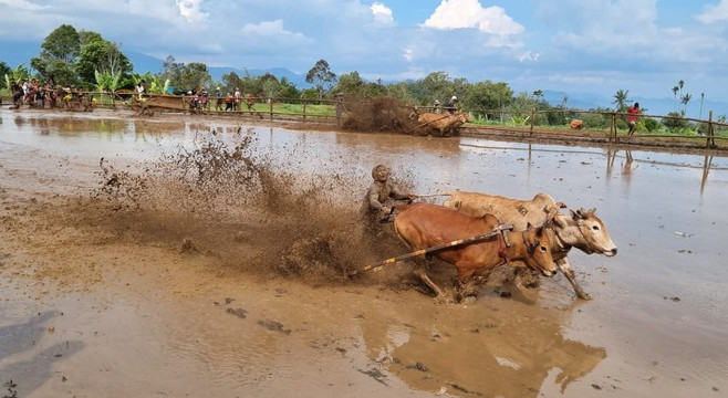 Erik Tour Bukittinggi-武吉丁宜必去景点