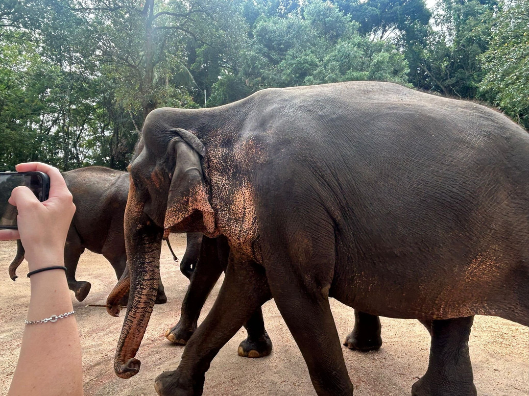 Asda Tours-Waikkal必去景点