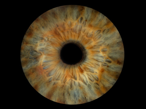 Vizualeyes Leeds-利兹必去景点