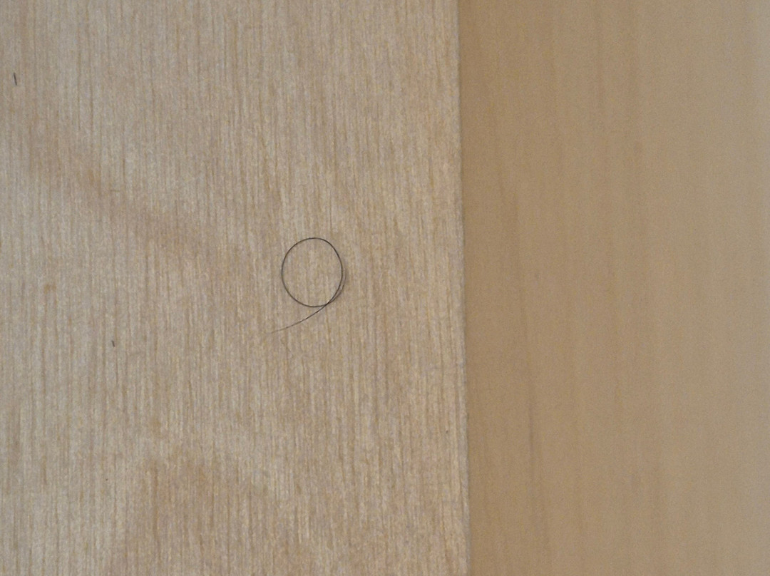 Hyatt Place Toronto/Mississauga Centre主图