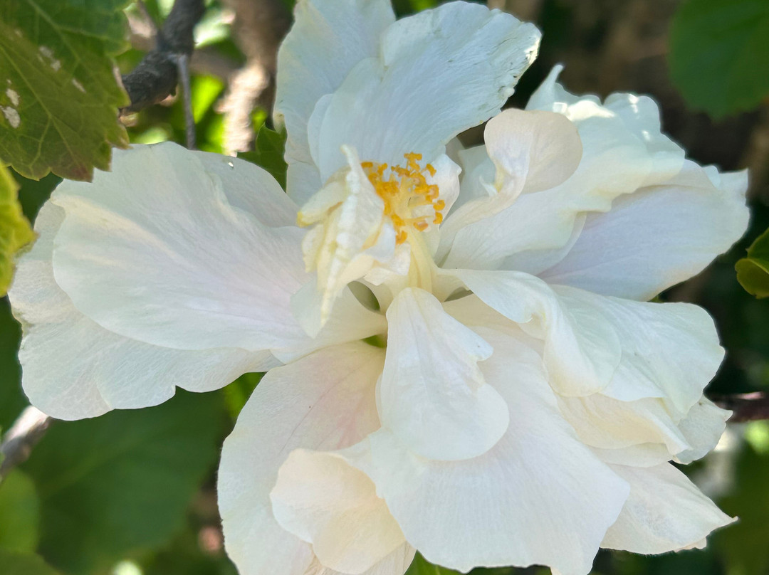 Kahuku Farms-卡胡库必去景点