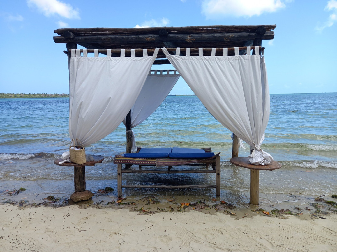 Pole Pole Bungalows主图