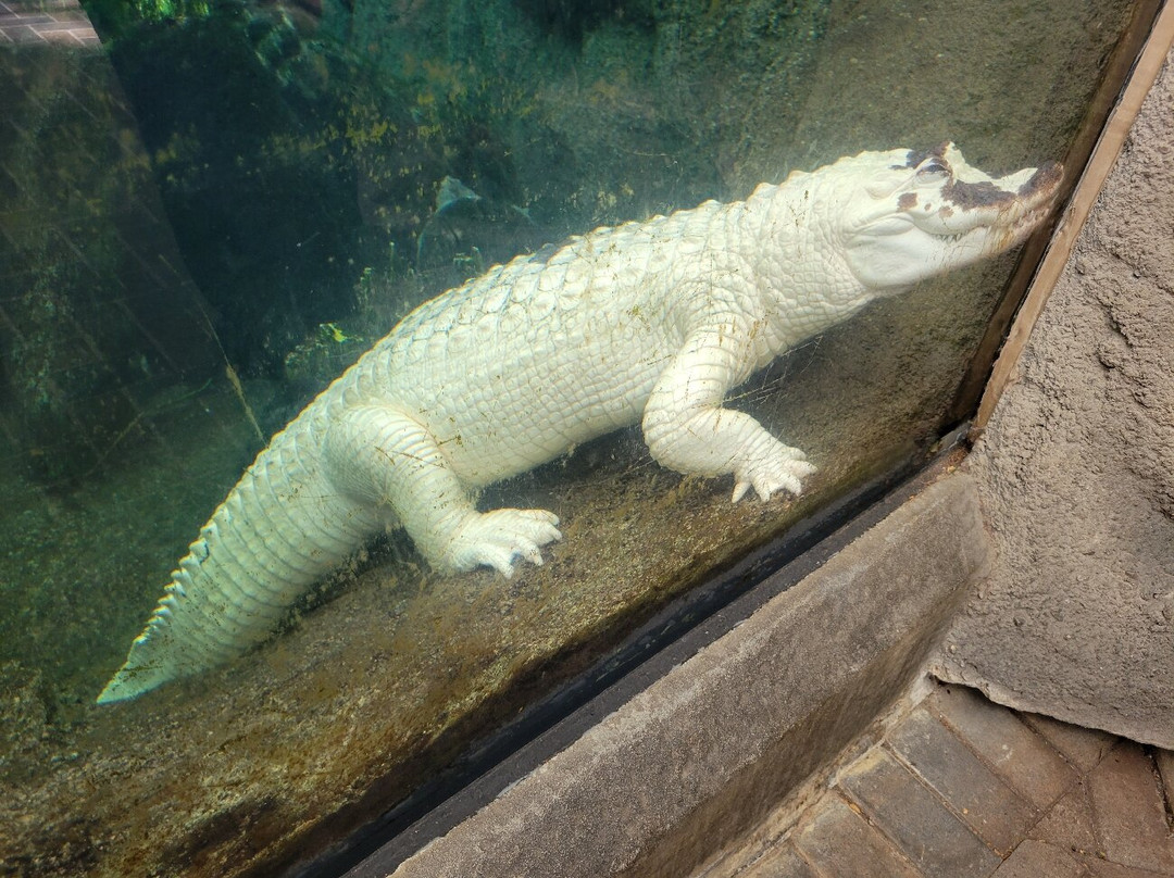 North Carolina Aquarium on Roanoke Island-Manteo必去景点