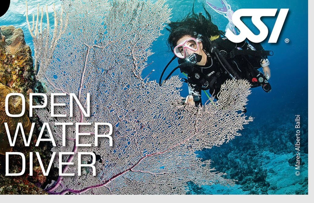 Extra Divers Worldwide El Quseir-艾尔可西利亚必去景点