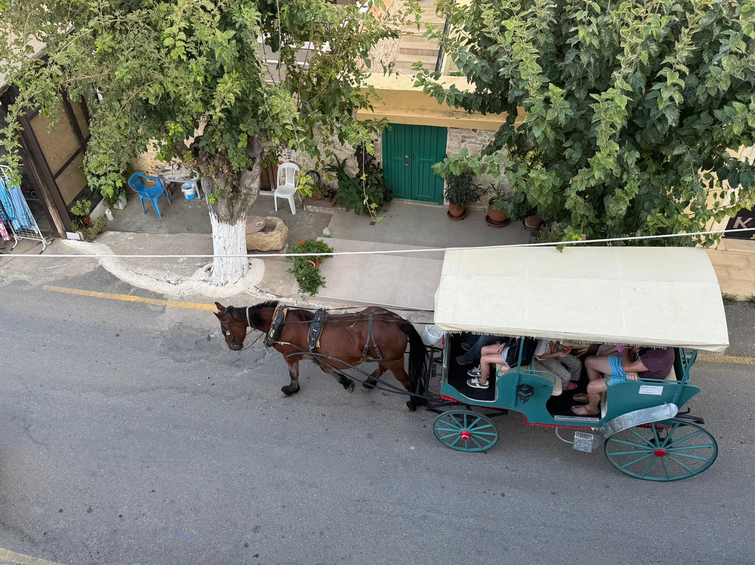 Hotel Iliana Panormos主图