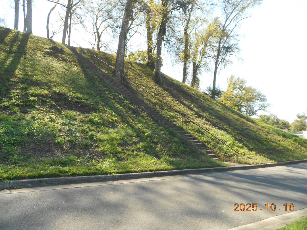 Indian Mound & Museum-弗洛伦斯必去景点