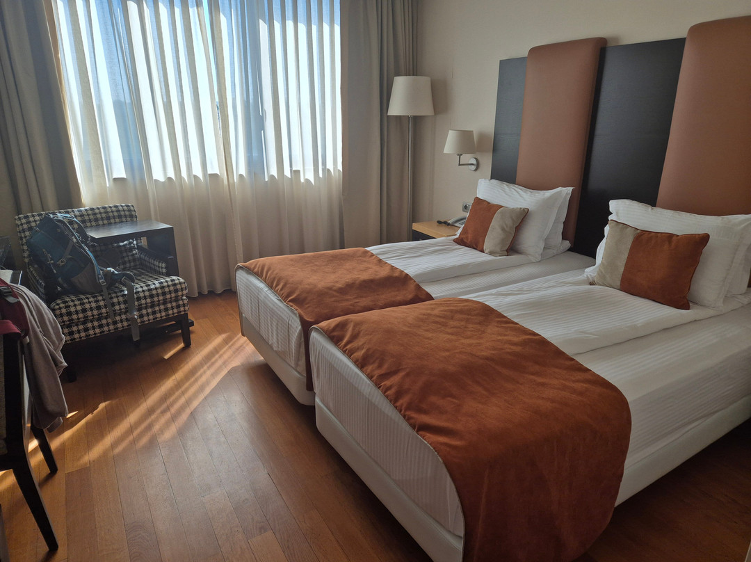 蒂米什瓦拉市恩尔茨酒店主图