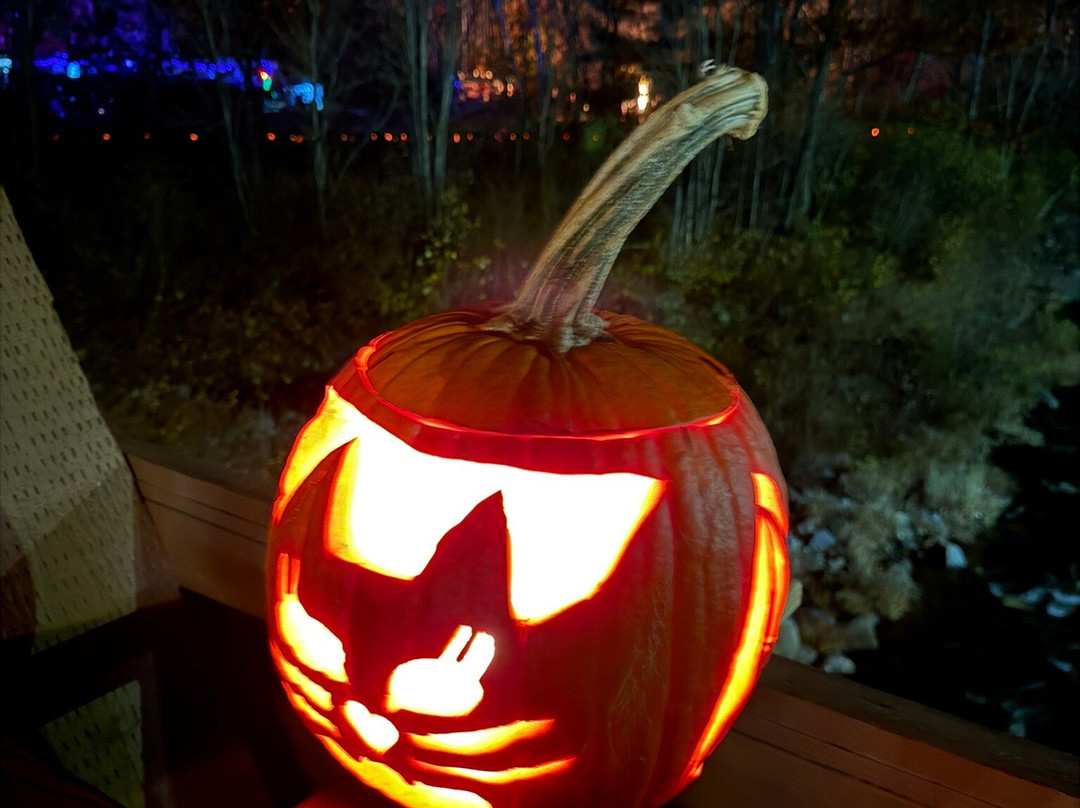 Riverwalk Covered Bridge-Littleton必去景点