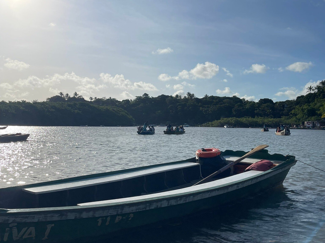 Bahia Eco Turismo Receptivo-Arraial d'Ajuda必去景点