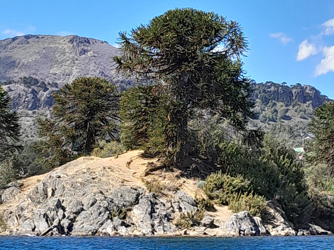 Lago Alumine-Alumine必去景点