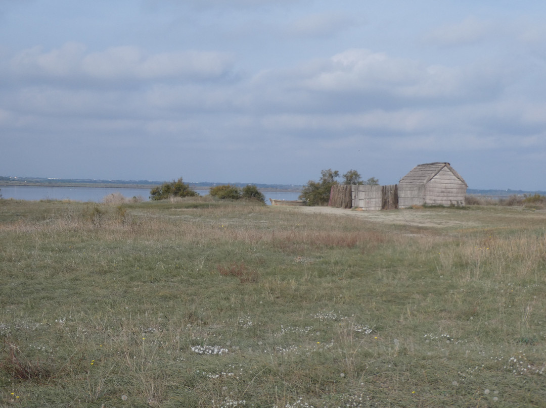 Étang de Canet - Saint-Nazaire.-Saint-Nazaire必去景点