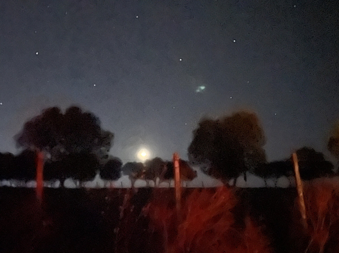 Canela Do Mato-Santana do Livramento必去景点